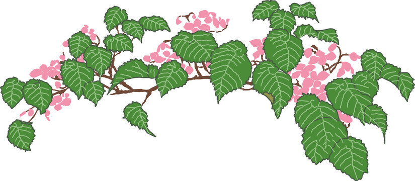 秋海棠、ピンクの花のベゴニアをモチーフにした植物の日本画風装飾イラスト