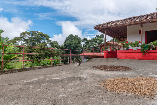 finca cafetera en jeric