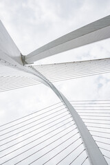 Bridge cables of Baisha Bridge in Liuzhou, Guangxi