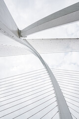 Bridge cables of Baisha Bridge in Liuzhou, Guangxi