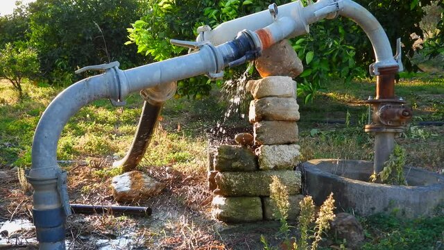 Orchard Agricultural Irrigation