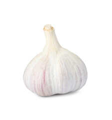 Fresh organic garlic bulb on white background
