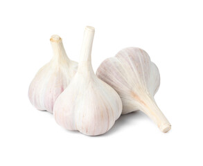 Fresh organic garlic bulbs on white background