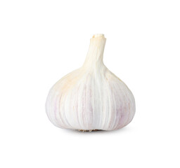 Fresh organic garlic bulb on white background