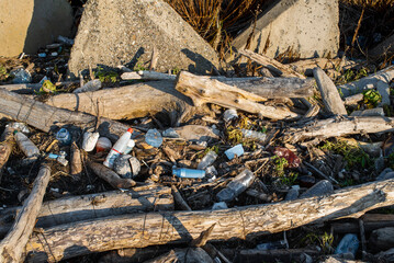 Plastic bottles and wastes trash pollute the beach. Old trees and rubbish washed ashore after the...