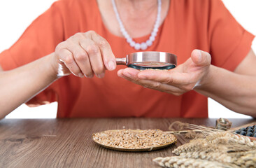 Chinese agriculturist holds a magnifying glass to study the quality of harvested wheat