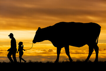 夕陽を背景に草原の牧場で牛を曳く老人と女の子のシルエット