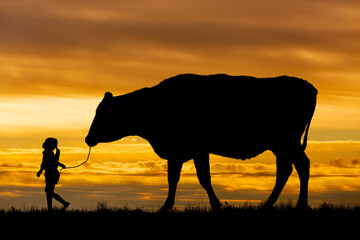 Fototapeta na wymiar 夕陽を背景に草原の牧場で牛を曳く女の子のシルエット