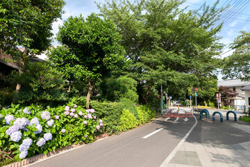 多摩湖自転車道（東京都小平市・小平駅周辺）