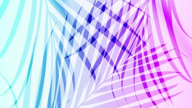 Neon Silhouette Shadow of Palm Leaves Motion by Natural Wind Isolated on White Background. Super Slow Motion Filmed on High Speed Cinema Camera at 1000 fps.