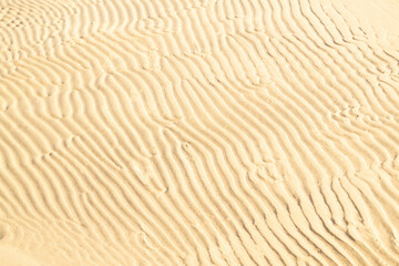 Background of sea shore. Close-up of wavy sand texture. Summer and vacotion concept. Top view, copy space.