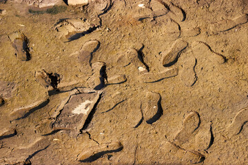 footprints on the swampy river bottom
