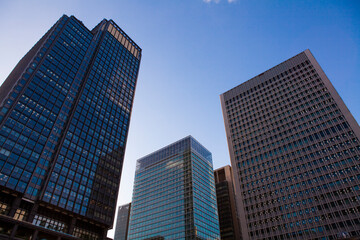 Obraz premium 新丸ビルと日本生命丸の内ビル