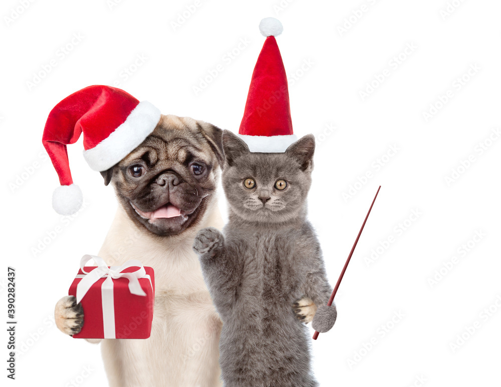 Aufkleber funny puppy and kitten wearing red christmas hats with gift box and pointing stick. isolated on whit