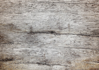 texture of bark wood use as natural background