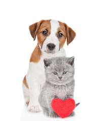 Jack russell terrier puppy and gray tabby kitten sit with read heart. Valentines day concept. Isolated on white background