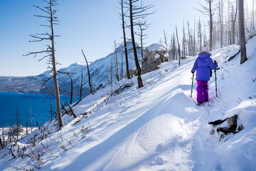 Fototapeta premium A Child hiking in Waterton Lakes National Park after a snowfall along the Bears Hump hiking trail.