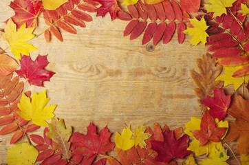 Autumn background. Red and yellow autumn leaves on a wooden texture.