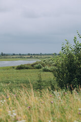 Lake scenery before rain. Dark sky and fresh green field and bushes. Focus on bush