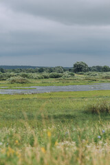 Lake scenery before rain. Dark sky and fresh green field and bushes