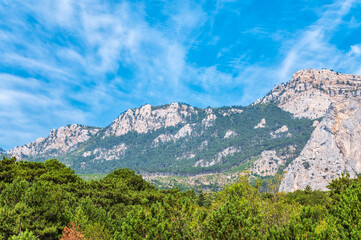 Naklejka na ściany i meble High rocky mountains on blue sky background. Green pine forest on the mountainside.