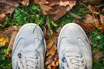 Comfortable gray leather shoes on grass with autumnal leaves