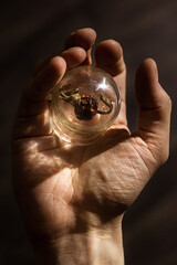 A wonderful wonderful world in the palm of your hand. A piece of nature under glass. The concept of a child's play with glass.