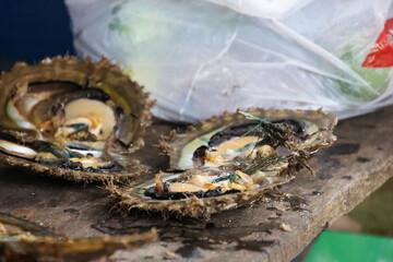 Raw oysters on the shell in a tropical setting