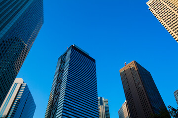 Obraz premium 新宿のオフィスビル群