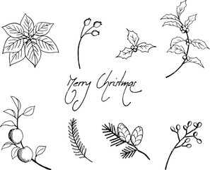 クリスマスの植物素材セット