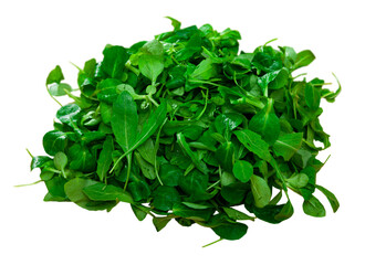Heap of green fresh arugula leaf and canonigo or mache salad. Isolated over white background