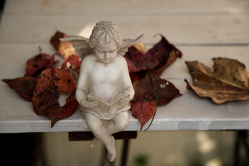 紅葉した葉とベンチで本を読む天使