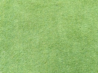 green grass texture