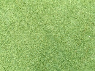 green grass texture