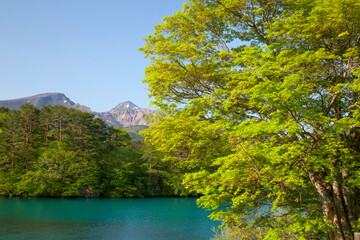 毘沙門沼と磐梯山