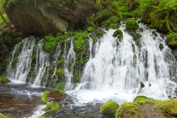 Fototapeta premium 元滝伏流水