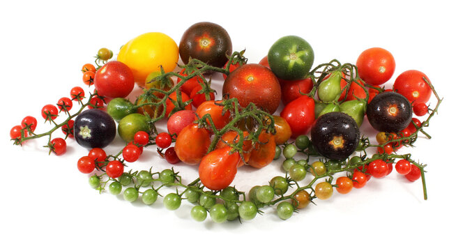 Different tomato varieties