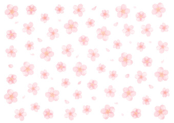 桜　花びら　水彩イラスト　春イメージ　背景