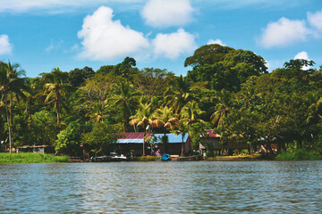 Fototapeta premium Tortuguero