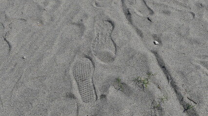 砂浜の足跡