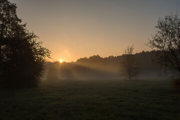 Sunny morning in a meadow near Warsaw, Poland. The sunrays are breaking through the mist which is covering the field. Clear sky, early morning sun and the trees that are still in the shadow.