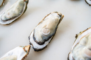 Zhanjiang oysters in the aquatic market