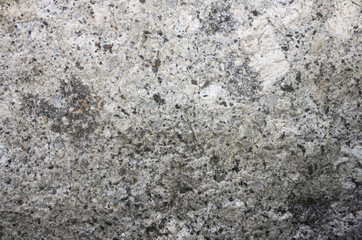 Porphyritic granite surface. Intrusive igneous rock.