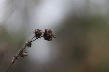 A close up of a sign