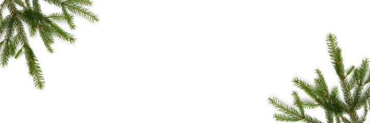 Banner with fir branches on a white background. Natural concept with place for text.