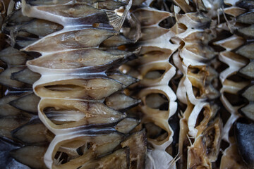 Dried salted fish and white pomfret hanging in the seafood shop