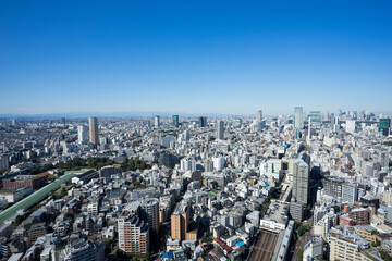 Fototapeta premium 東京パノラマビュー