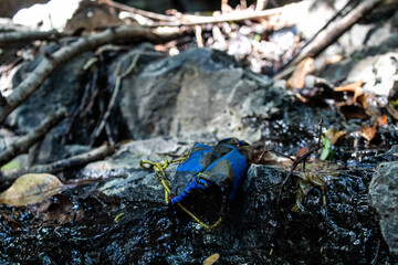 Mask thrown in the river on a black rock.