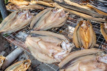 Salted fish dried in the sun