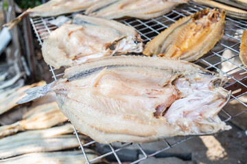 Salted fish dried in the sun